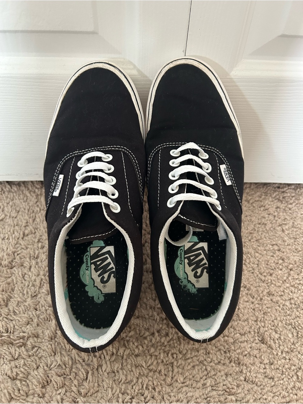 Vans Black Canvas Low-Top Sneakers with White Laces